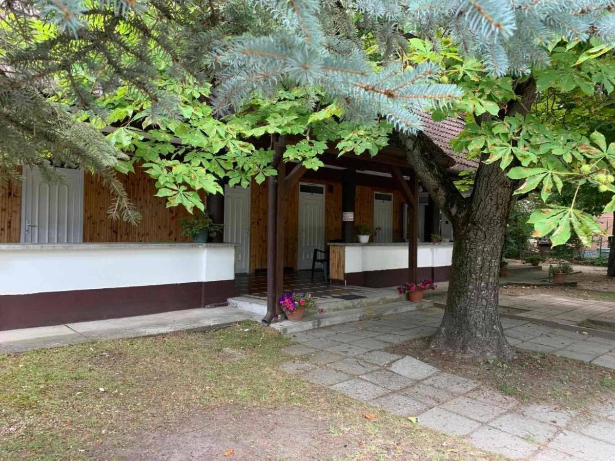 Homestay Platan Ueduelo