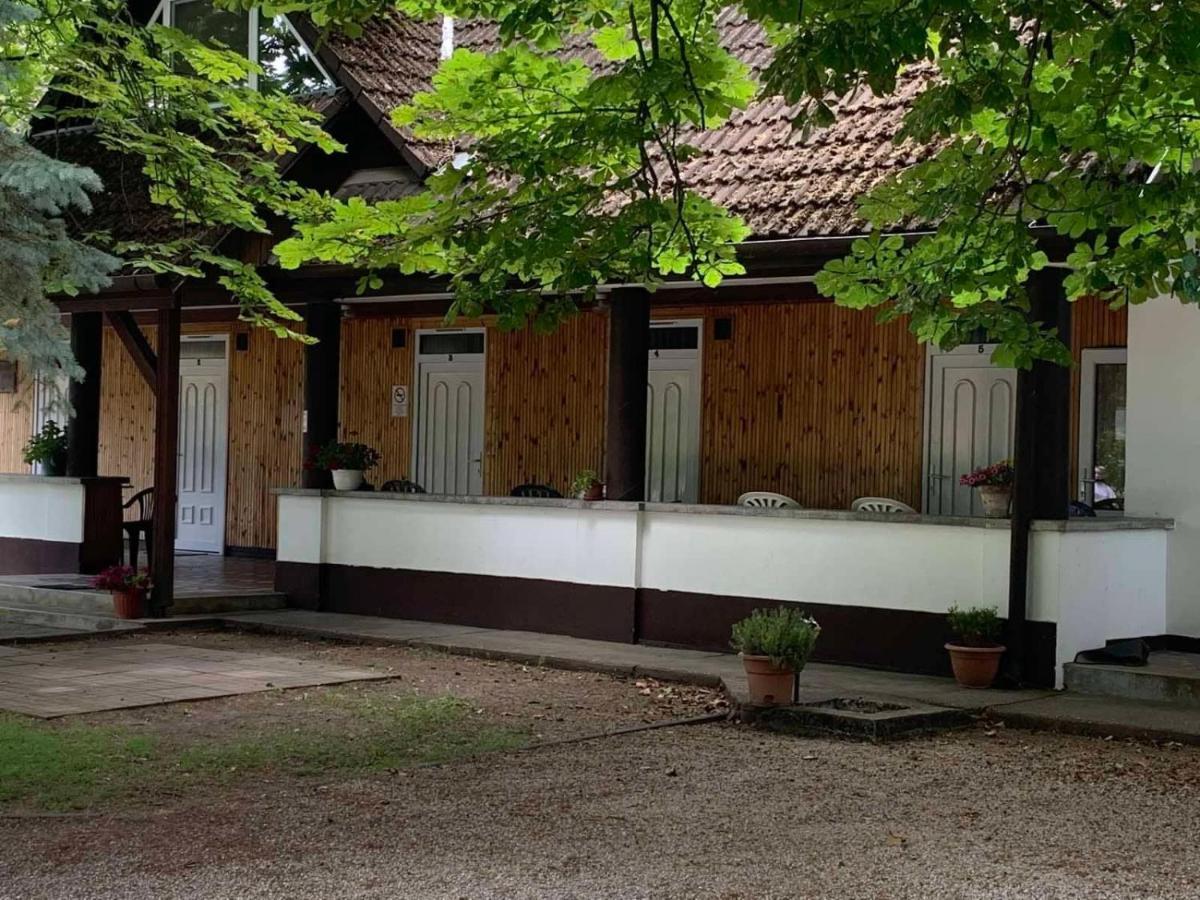 Platan Ueduelo Balatonlelle
